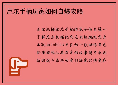 尼尔手柄玩家如何自爆攻略