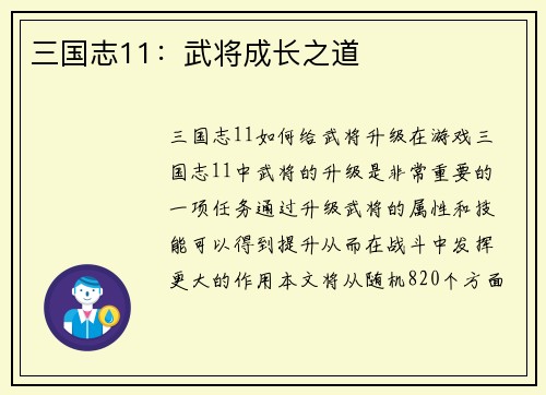 三国志11：武将成长之道